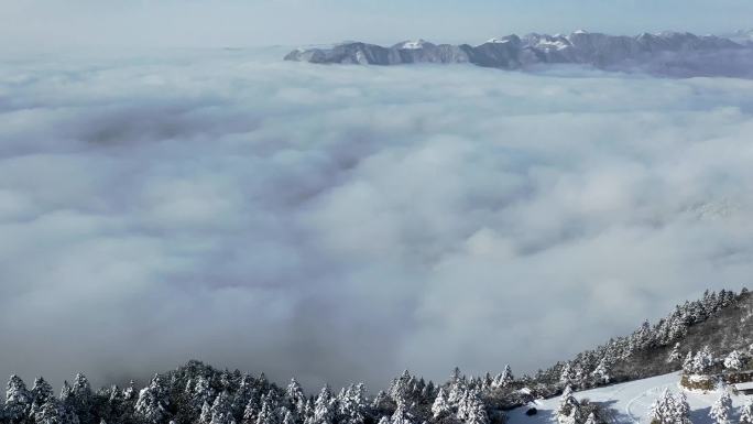 航拍湖北神农架冬季冬天阳光冰雪雪松雪景