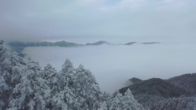 航拍湖北神农架冬季冬天阳光冰雪雪松雪景