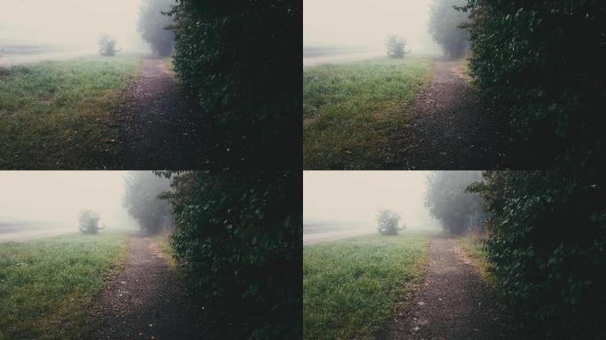 在雾和雨中走在人行道上。黄昏的小路。