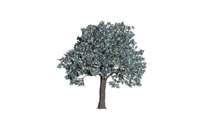 欧元货币树素材视频元素