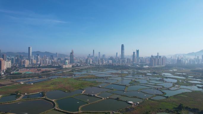 香港看深圳罗湖市区