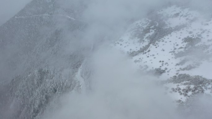 航拍湖北神农架冬季冬天阳光冰雪雪松雪景