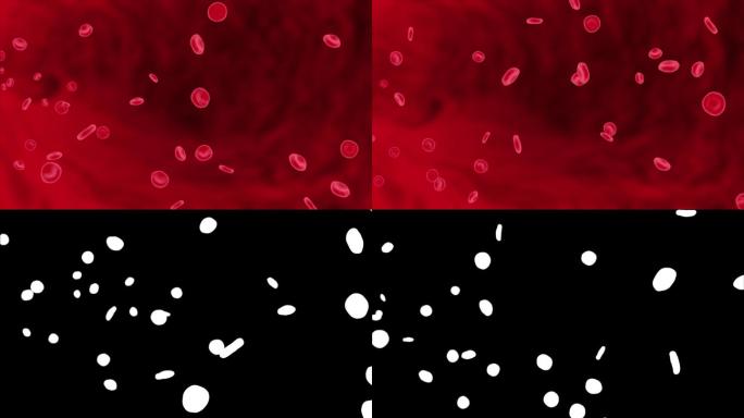 静脉中的红细胞视频素材