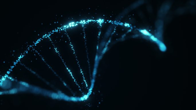 旋转DNA发光分子