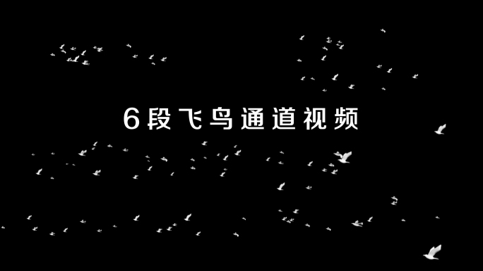 飞鸟带通道6款