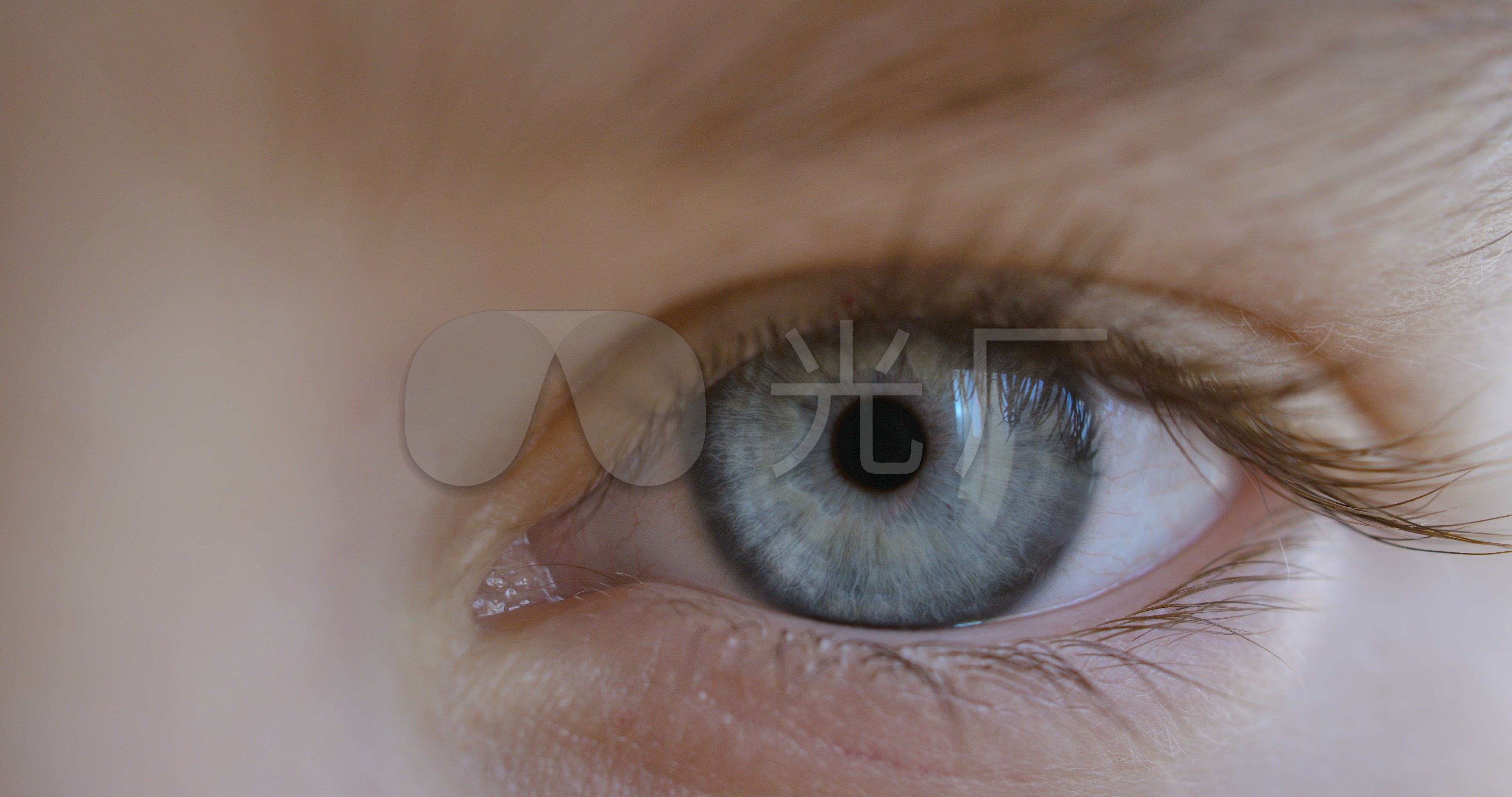 眼球视频素材-眼球实拍高清素材-凌点视频素材网