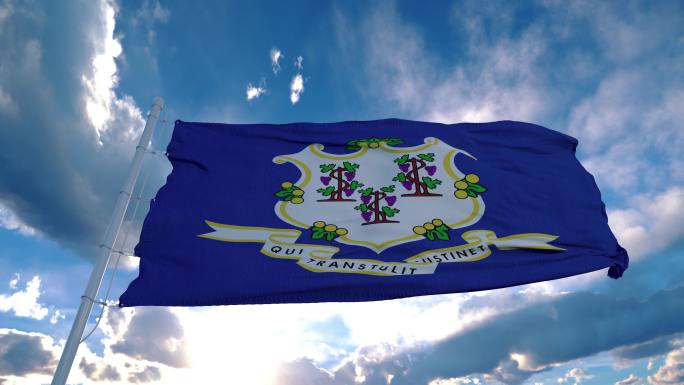 美国康涅狄格州旗帜