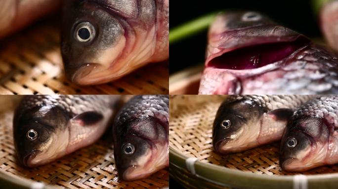 【镜头合集】鱼鳃辨别鱼新鲜程