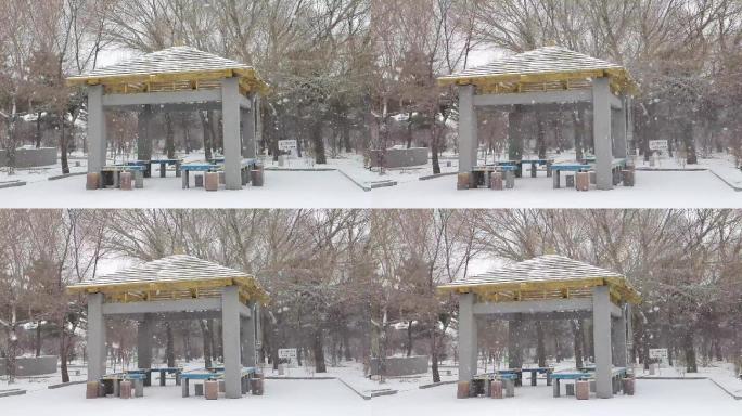 公园凉亭雪花飘飘雪景雪花飘落雪花纷飞