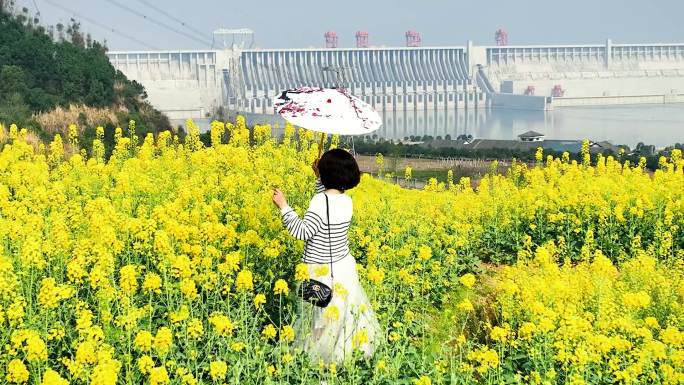 三峡油菜花开迎客来