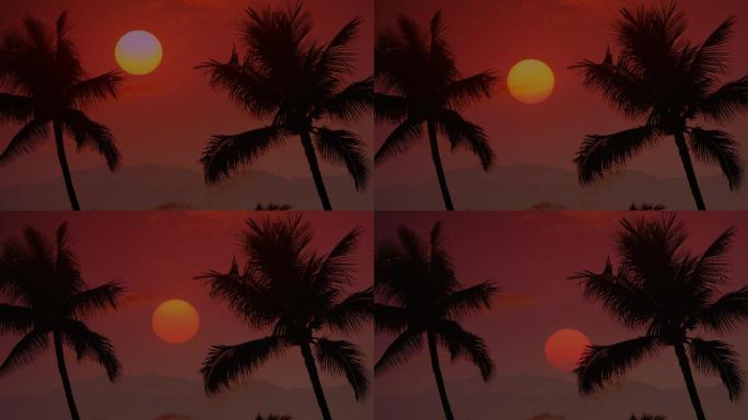 椰树夕阳日落 日落棕榈树