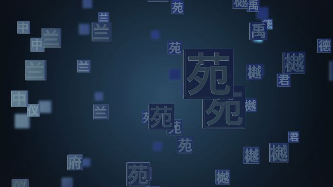 中国文字01ae模板