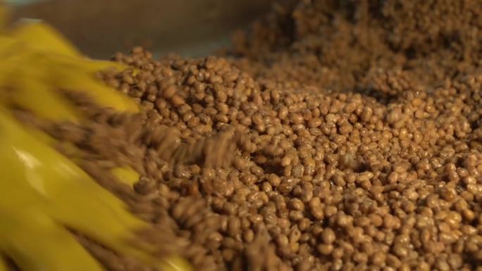 传统手工豆豉制作