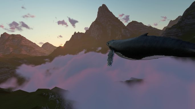 鲸鱼山间游