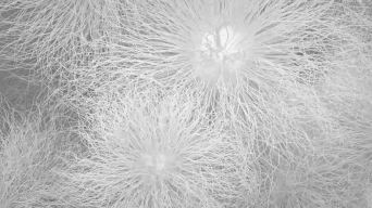 羽绒服羽绒三维展示视频素材