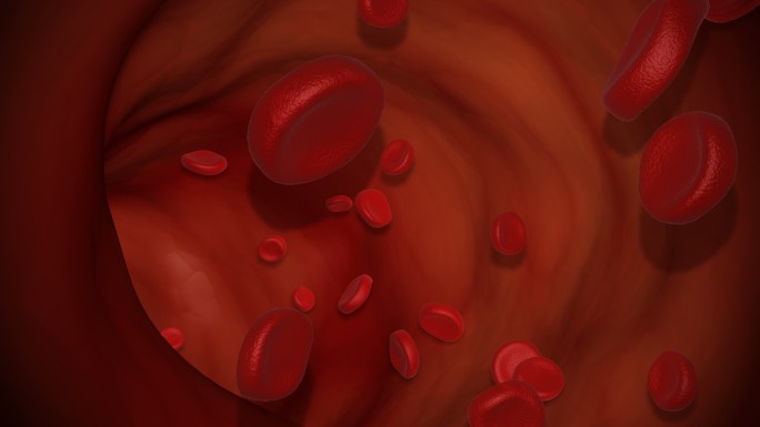 红细胞在血液中运动。