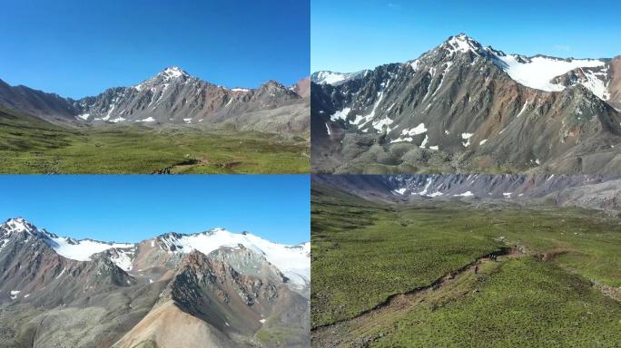 祁连山雪山草地H