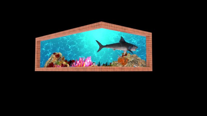 海洋鲨鱼裸眼3D全息影片素材（可定制）