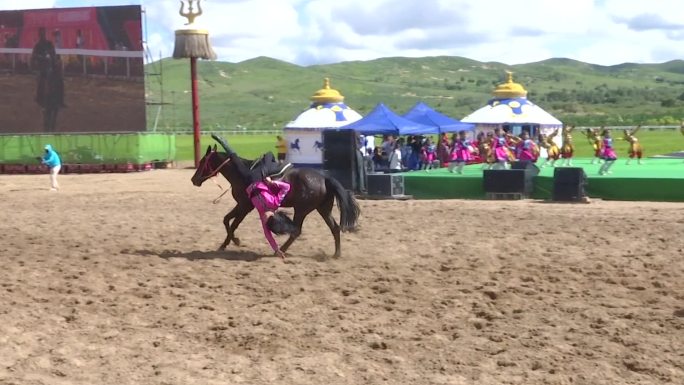 草原蒙古旅游区马术表演盛装马队从游客前过