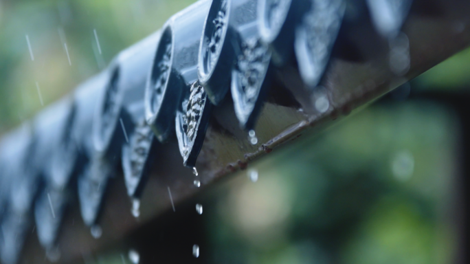 春雨连绵谷雨雨水滋润万物发芽开花水中生物