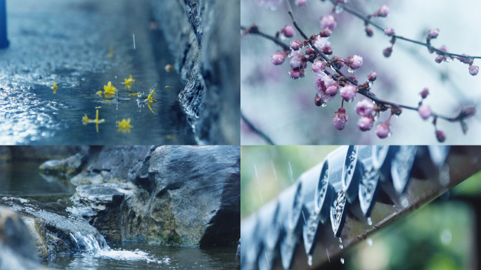 春雨连绵谷雨雨水滋润万物发芽开花水中生物