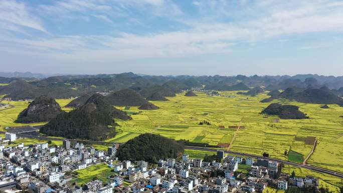 罗平金油菜花春季实拍