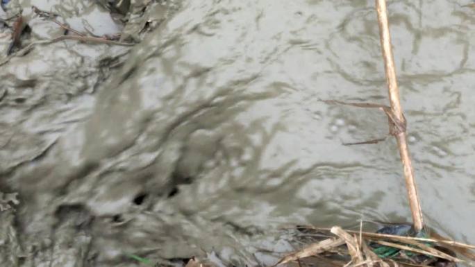 污水排放农村环境污水横流排污道污染河水