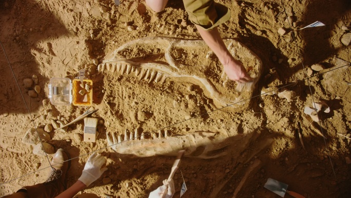 考古学家文物千年白骨出土古代遗迹