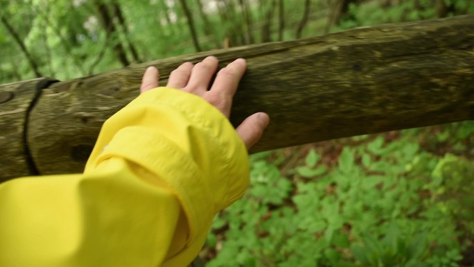 女人的手在森林里某处的木栏杆上