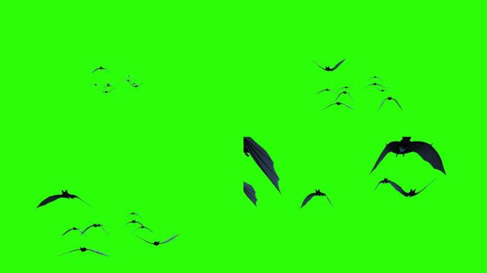 成群的蝙蝠在绿色屏幕背景上飞翔。