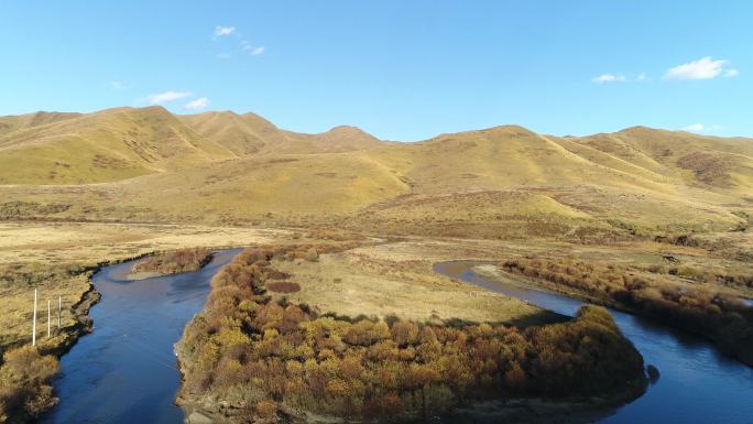 四川阿坝高原河流草原湿地生态川藏线风景