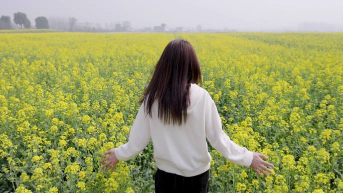 4K女性手抚摸油菜花背影