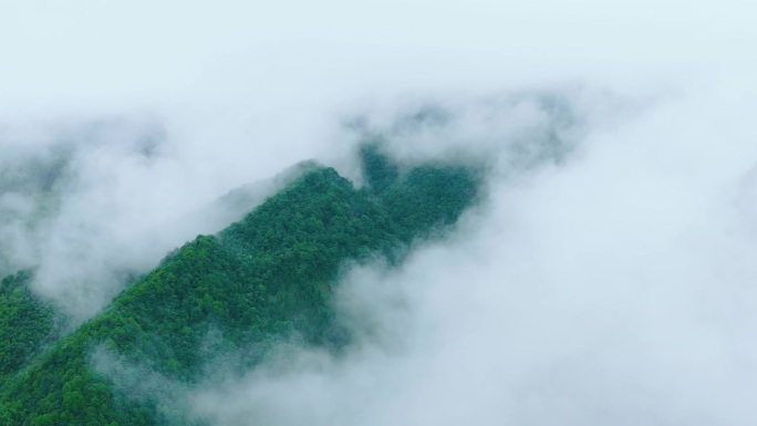 石岭古村落