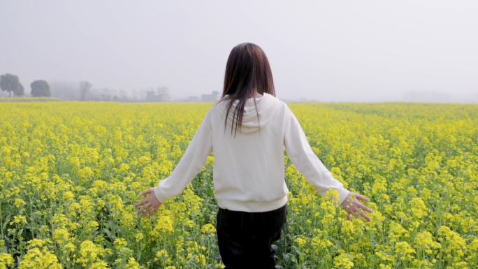 4K女性手抚摸油菜花背影