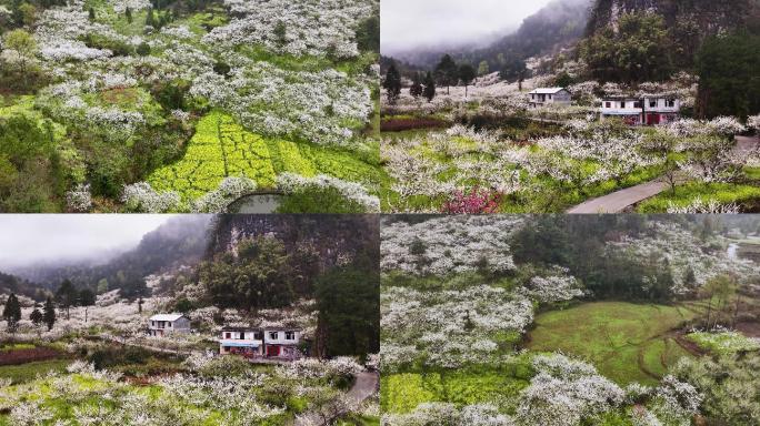 4K航拍南丹落花坪