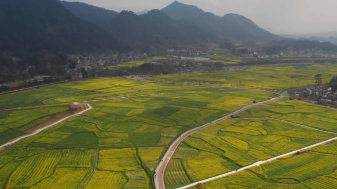 贵州黔南贵定金海雪山油菜花风光