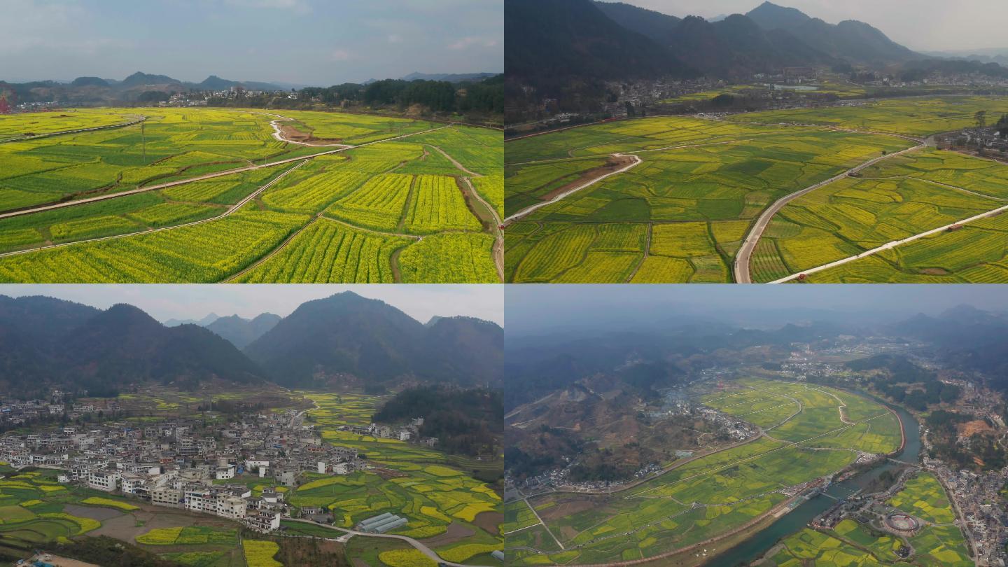 贵州黔南贵定金海雪山油菜花风光