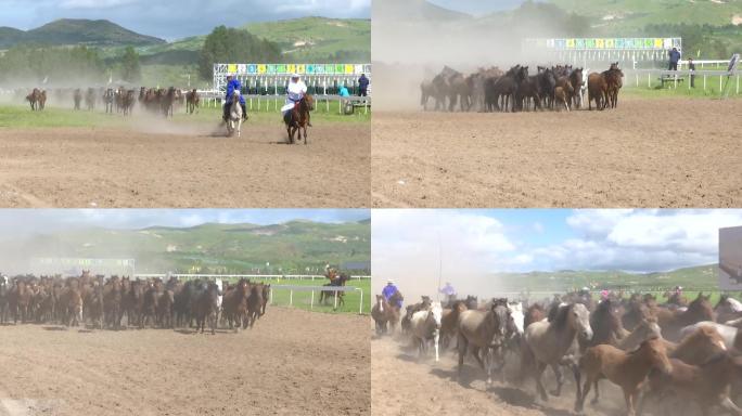 草原旅游区盛装牧民引领千匹马队从游客前过