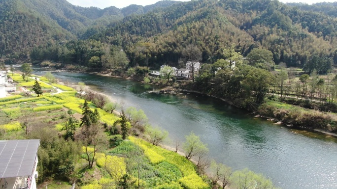 婺源春 油菜花 河流 乡村 徽派建筑村庄