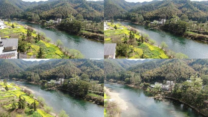 婺源春 油菜花 河流 乡村 徽派建筑村庄