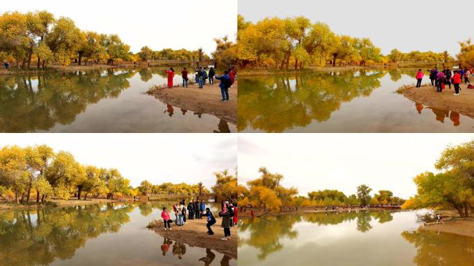 内蒙古额济纳胡杨林景区秋天的景色