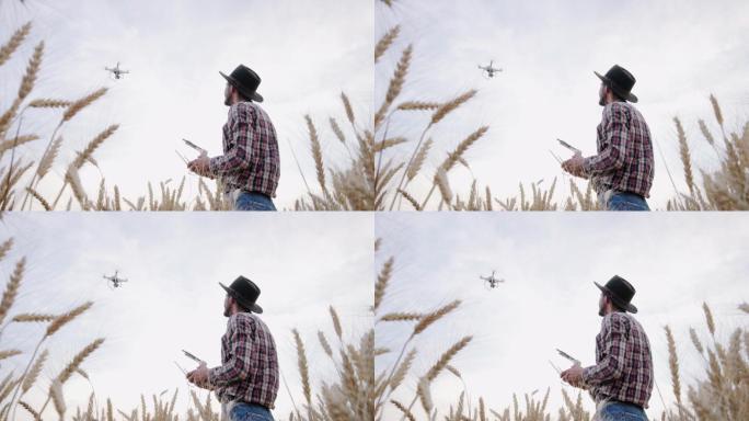 操作无人机的男人拍照录像麦田男人