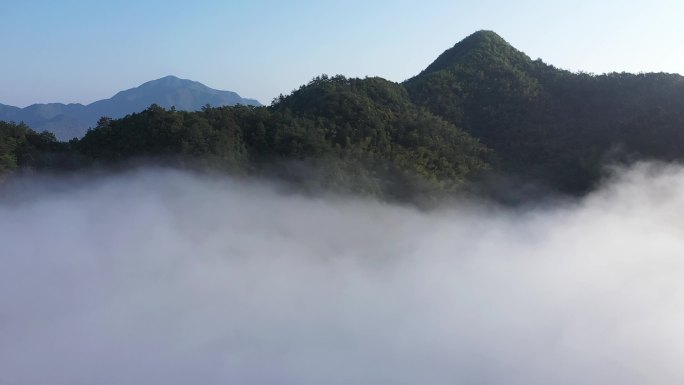 浙江温州诸暨五泄风景区云海