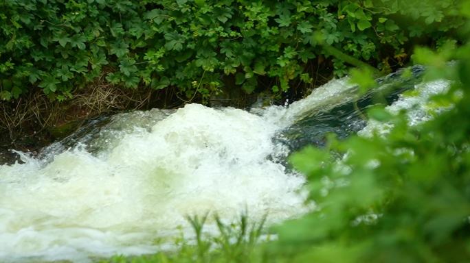 出水口 排水口