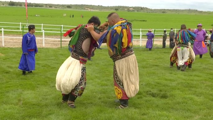草原旅游区蒙古族博克手摔跤手在比赛那达慕