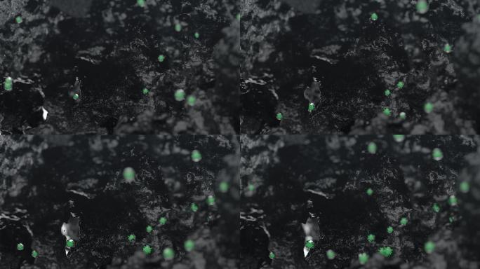 活性炭吸附余氯杂质细菌动画视频