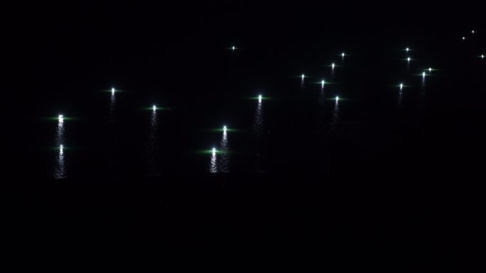 龙羊峡水库夜间灯光捕银鱼