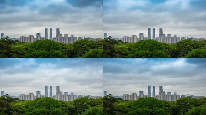 城市公园绿化与高楼