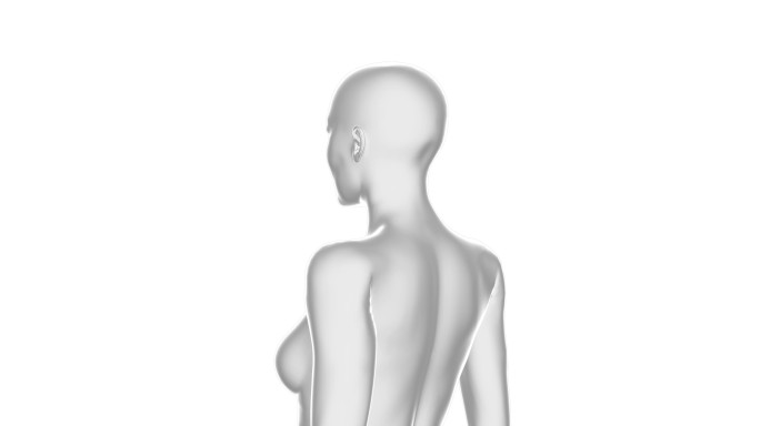 女性人体。白色背景上的3D模型