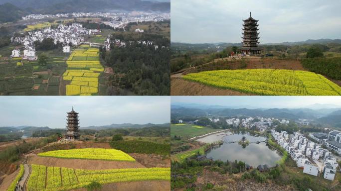 上饶油菜花季节村庄